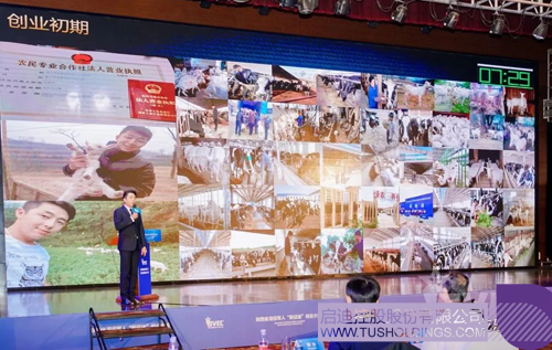 1604992391814732.jpg image003 副本.JPG