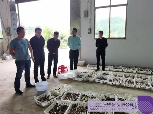 1611734613157252.jpg 2 副本.jpg