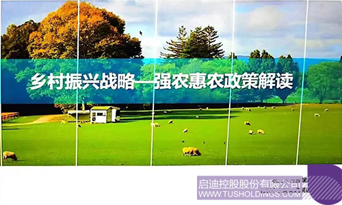 1669194434660009.jpg WechatIMG2032c.jpg